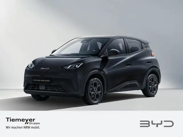 Byd Dolphin main image