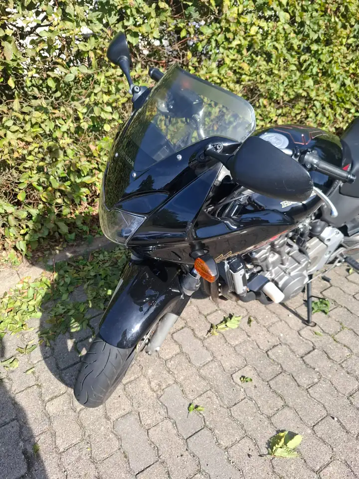 Honda Hornet