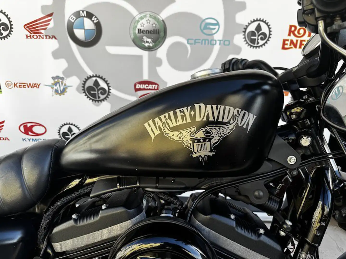 Harley-Davidson Sportster 883 IRON - 2