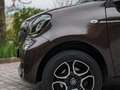 smart forFour 1.0 Youngster 71cv twinamic Brązowy - thumbnail 7