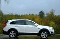 Chevrolet Captiva 2.2 D LTZ 4WD/7Sitzer/Leder/R.Kamera Weiß - thumbnail 10