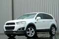 Chevrolet Captiva 2.2 D LTZ 4WD/7Sitzer/Leder/R.Kamera Weiß - thumbnail 1