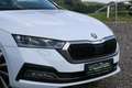 Skoda Octavia First Edition*DSG*Standheizung*AHK* Weiß - thumbnail 5