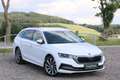 Skoda Octavia First Edition*DSG*Standheizung*AHK* Weiß - thumbnail 1