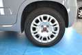 Fiat Panda Panda III 1.2 Easy **PREZZO REALE SENZA VINCOLI** Gris - thumbnail 13