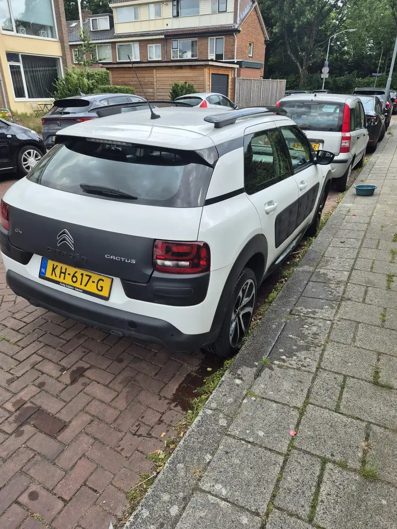 Citroen C4 Cactus PureTech 82 Business Class - 2