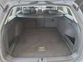 Volkswagen Passat BMT Start-Stopp EU6d 1.5 TSI Conceptline Parksenso Grau - thumbnail 14