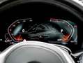 BMW X5 xDrive30d M SPORT+AHK+PANO+HuD+DA+PA+HiFi Blanc - thumbnail 11