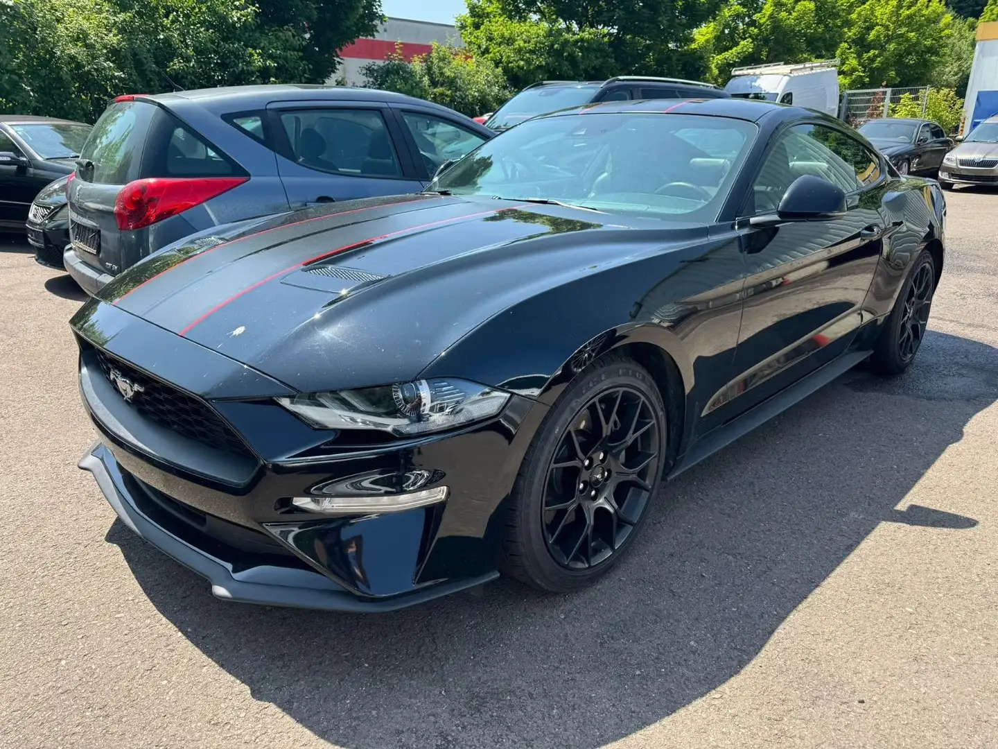 Ford Mustang Leder+Navi+Xenon Zwart - 1