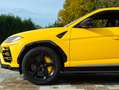 Lamborghini Urus Jaune - thumbnail 16