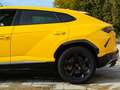 Lamborghini Urus Jaune - thumbnail 15