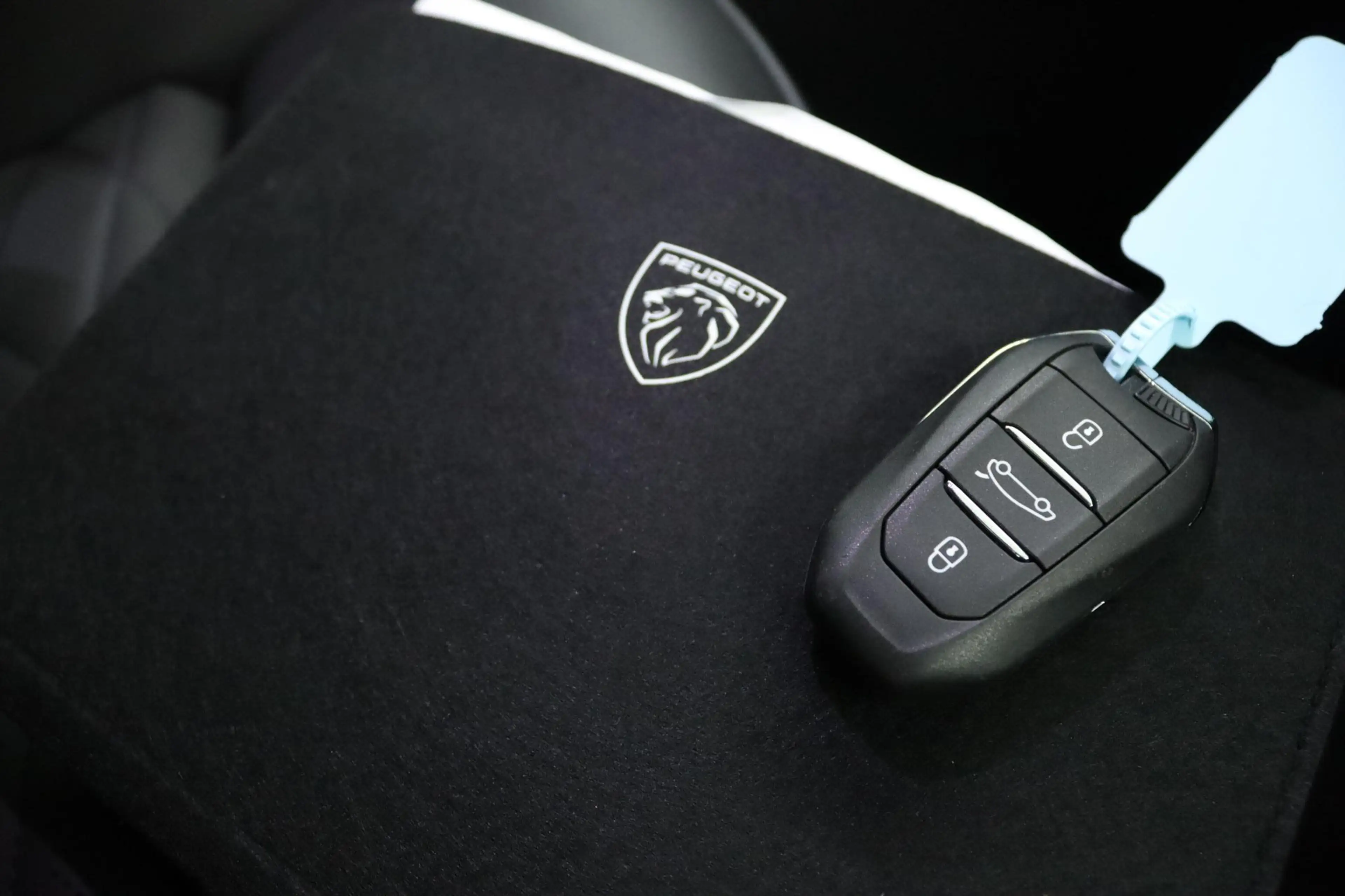 Peugeot 3008 1.6 plug-in Hybrid 195 GT Exclusive | Nappa leder — photo 9