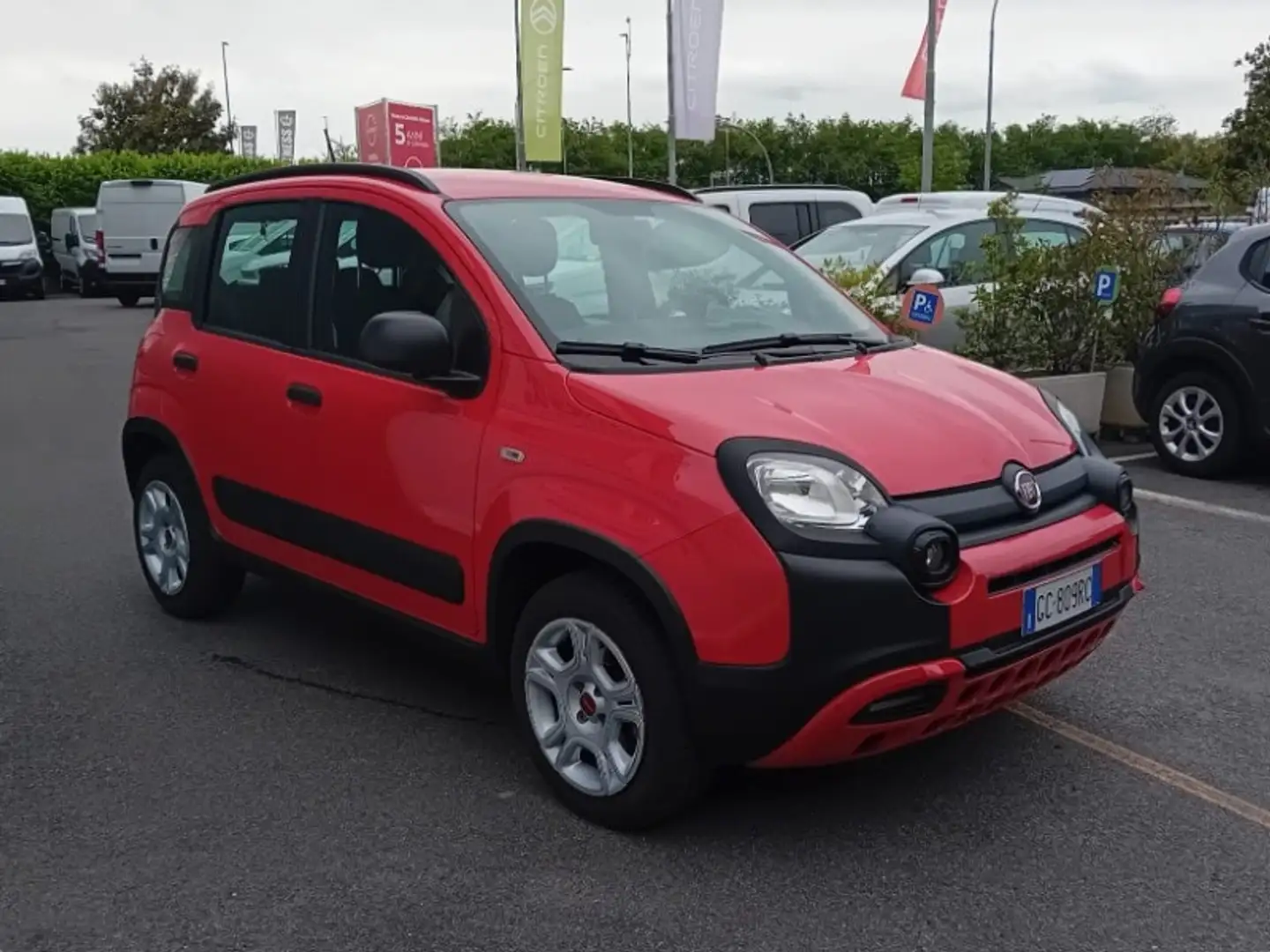 Fiat New Panda 1.0 FireFly S&S Hybrid City Cross Rojo - 2