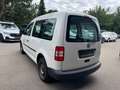 Volkswagen Caddy Kombi EcoFuel 2.0 Erdgas CNG,5-Sitze,Klima Weiß - thumbnail 5