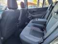 Subaru OUTBACK Outback 2.5i Lineartronic Exclusive Cross Verde - thumbnail 12