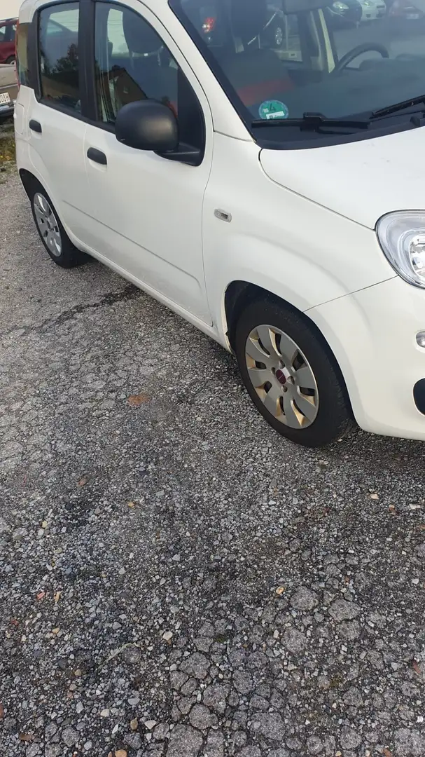 Fiat New Panda Klima Weiß - 2