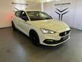 SEAT Leon 2.0 TDI 116 CV Business Bianco - thumbnail 1