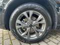 Ford Kuga Plug-In Hybrid ST-Line X AHK Winter-Paket Schwarz - thumbnail 9