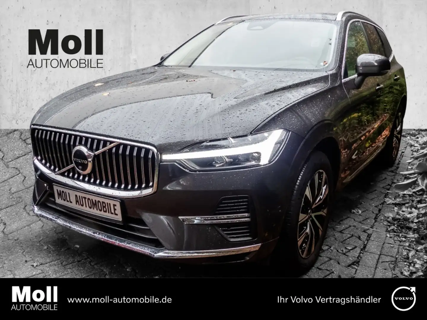 Volvo XC60 Plus Bright 2WD B4 Benzin EU6d digitales Cockpit M Grau - 1