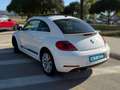 Volkswagen Beetle Cabrio 1.4 TSI Design DSG 110kW Blanco - thumbnail 8