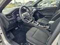 Ford Focus Turnier ST-Line *Winter-Paket/Pano* Plateado - thumbnail 12