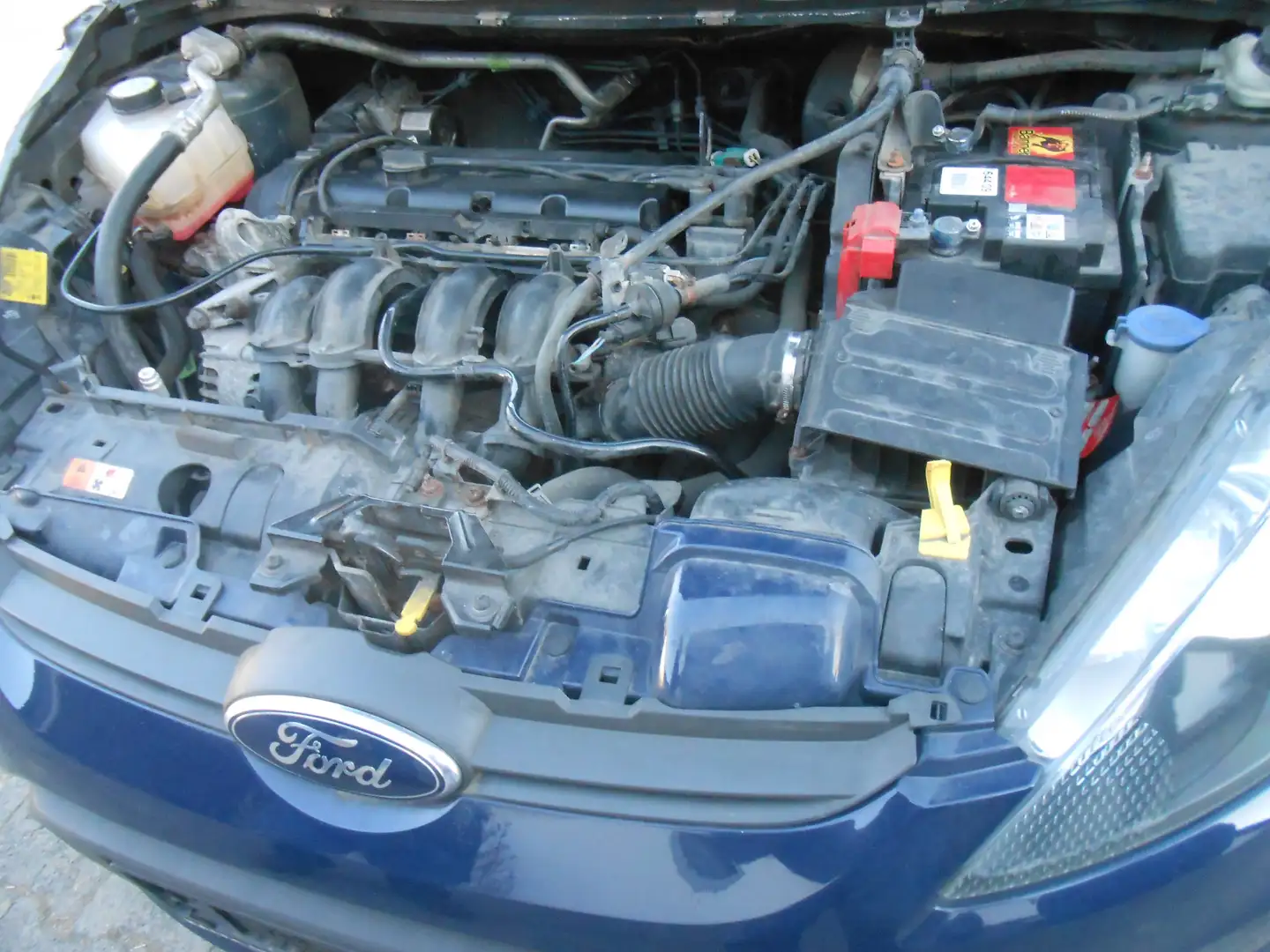 Ford Fiesta Fiesta++5-Türer+1.25+Trend Blau - 2