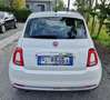 Fiat 500 1.2 Lounge GPL 69cv - neopatentati Bianco - thumbnail 13