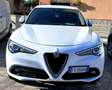 Alfa Romeo Stelvio Stelvio 2.2 t Executive Q4 210cv auto Blanc - thumbnail 3