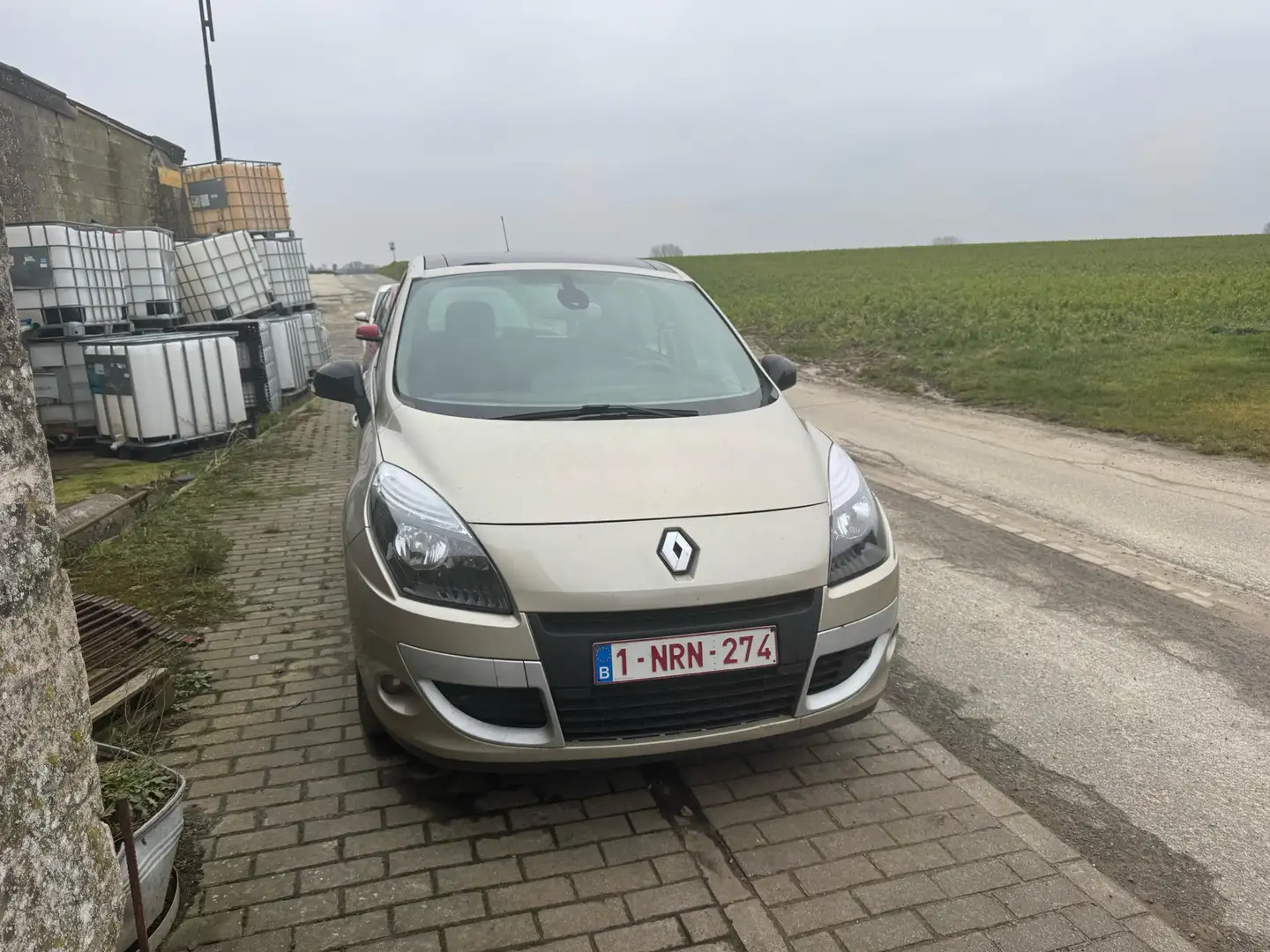 Renault Scenic dCi 130 FAP Start & Stop Dynamique Бронзовый - 2