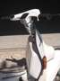 Piaggio Fly 50 Vespa 50 special Wit - thumbnail 2