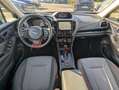 Subaru Forester 2.0ie Edition Exclusive Cross Navi Pano LED Grau - thumbnail 12