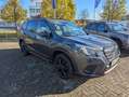 Subaru Forester 2.0ie Edition Exclusive Cross Navi Pano LED Grau - thumbnail 7