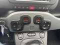 Fiat Panda Sport 1.0 Mild Hybrid EU6d DAB Berganfahrass. Alu Grigio - thumbnail 15