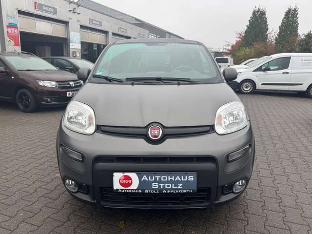 Fiat Panda Sport 1.0 Mild Hybrid EU6d DAB Berganfahrass. Alu