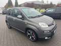 Fiat Panda Sport 1.0 Mild Hybrid EU6d DAB Berganfahrass. Alu Grigio - thumbnail 6