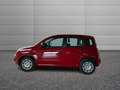 Fiat Panda Pandina 1.0 firefly hybrid Icon s&s 65 CV Rot - thumbnail 2