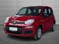 Fiat Panda Pandina 1.0 firefly hybrid Icon s&s 65 CV Rot - thumbnail 1