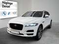 Jaguar F-Pace F-Pace 20d AWD Portfolio Wit - thumbnail 1