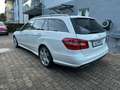 Mercedes-Benz E 350 E -Klasse T-Modell E 350CDI AMG -Line BMT Weiß - thumbnail 5