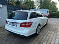 Mercedes-Benz E 350 E -Klasse T-Modell E 350CDI AMG -Line BMT Weiß - thumbnail 2