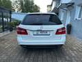 Mercedes-Benz E 350 E -Klasse T-Modell E 350CDI AMG -Line BMT Weiß - thumbnail 6