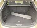 Mazda CX-60 3.3L e-SKYACTIV D 8AT AWD Homura COSO NAVI - thumbnail 12