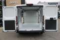 Fiat Ducato Ducato KW35 L2H 140 10Zoll Navi Kamera 260Grad ... Weiß - thumbnail 4