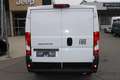 Fiat Ducato Ducato KW35 L2H 140 10Zoll Navi Kamera 260Grad ... Weiß - thumbnail 3
