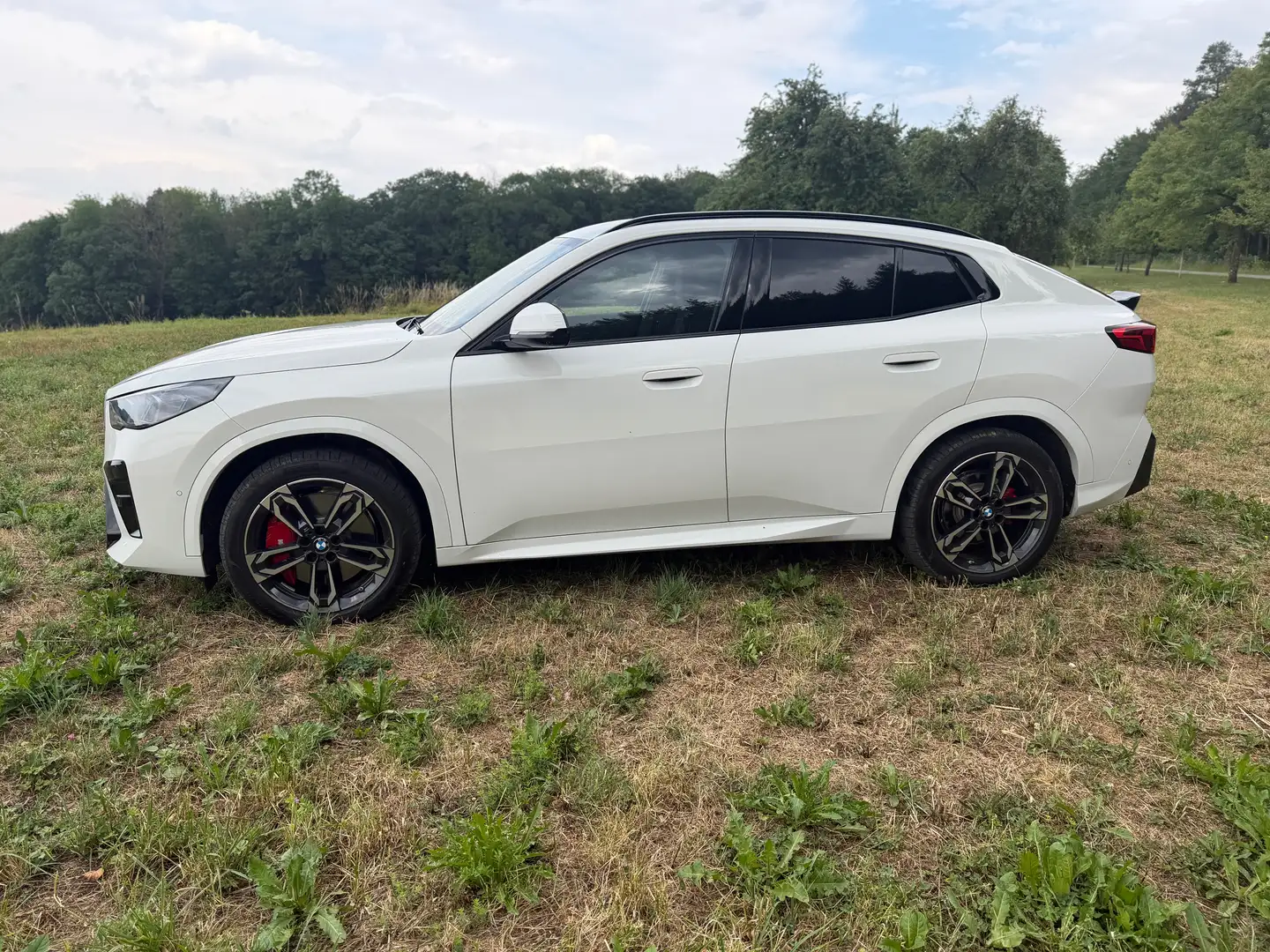 BMW iX2 eDrive20 M-Sportpaket-Pro 19-Zoll - AHK Weiß - 2