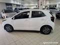 Kia Picanto 1.0 12V GPL 5 porte Urban KM0 Белый - thumbnail 3