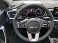 Kia XCeed Xceed 1,0 TGDI GPF Silber Grün - thumbnail 14