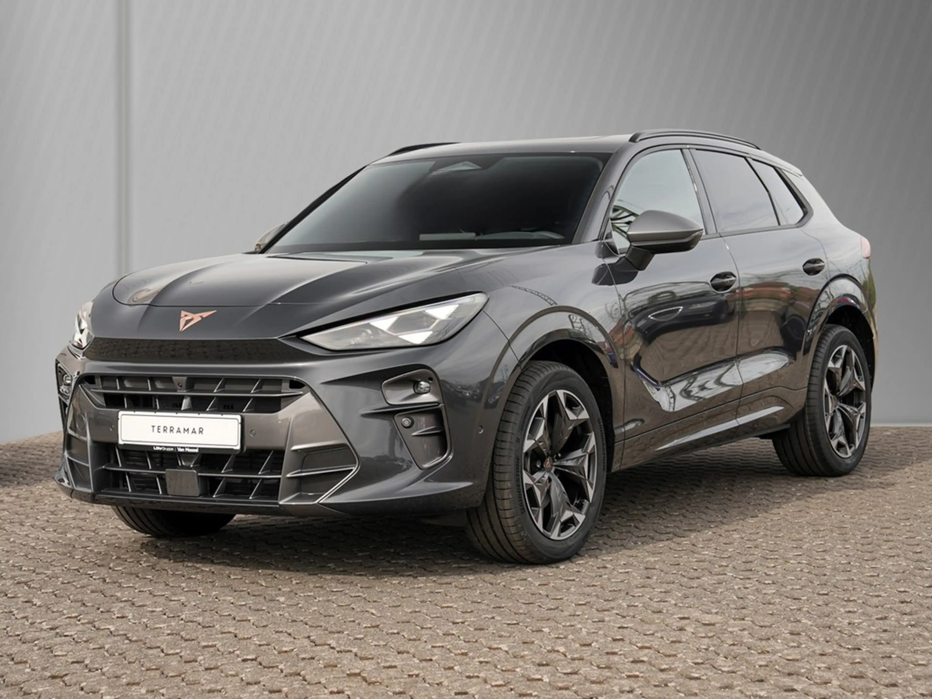 CUPRA Terramar VZ 2.0TSI 195kW/265PS 7-Gang-DSG 4Drive — photo 2