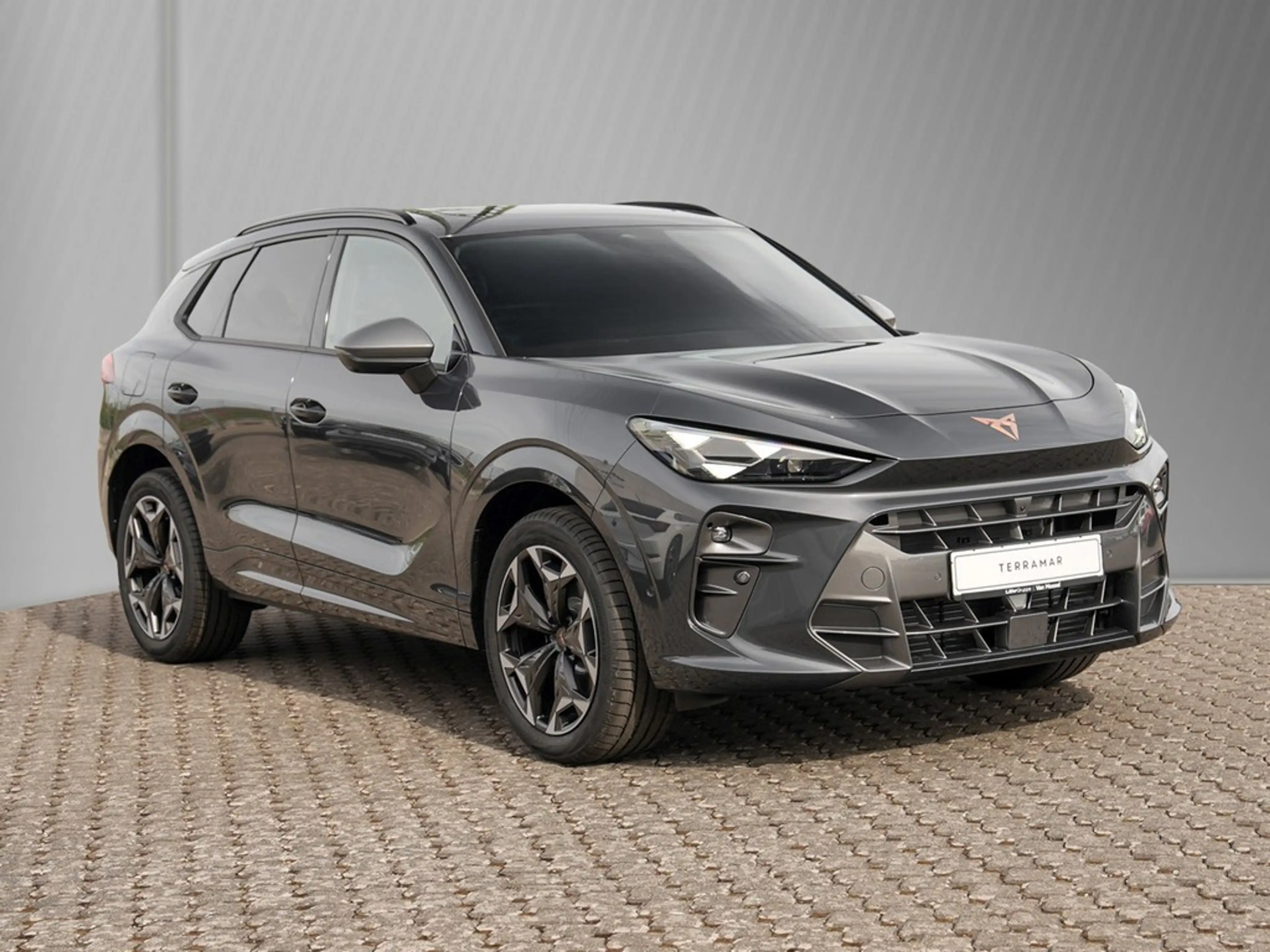 CUPRA Terramar VZ 2.0TSI 195kW/265PS 7-Gang-DSG 4Drive — photo 3