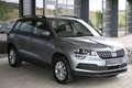 Skoda Karoq 1,0 TSI Ambition Limited Navi Amundsen, Kamera,... Grau - thumbnail 22